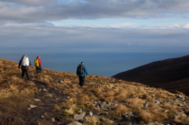 Walking with Giants (Day or Night) Experience