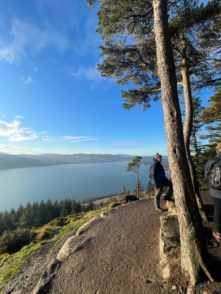 Walking with Giants (Day or Night) Experience